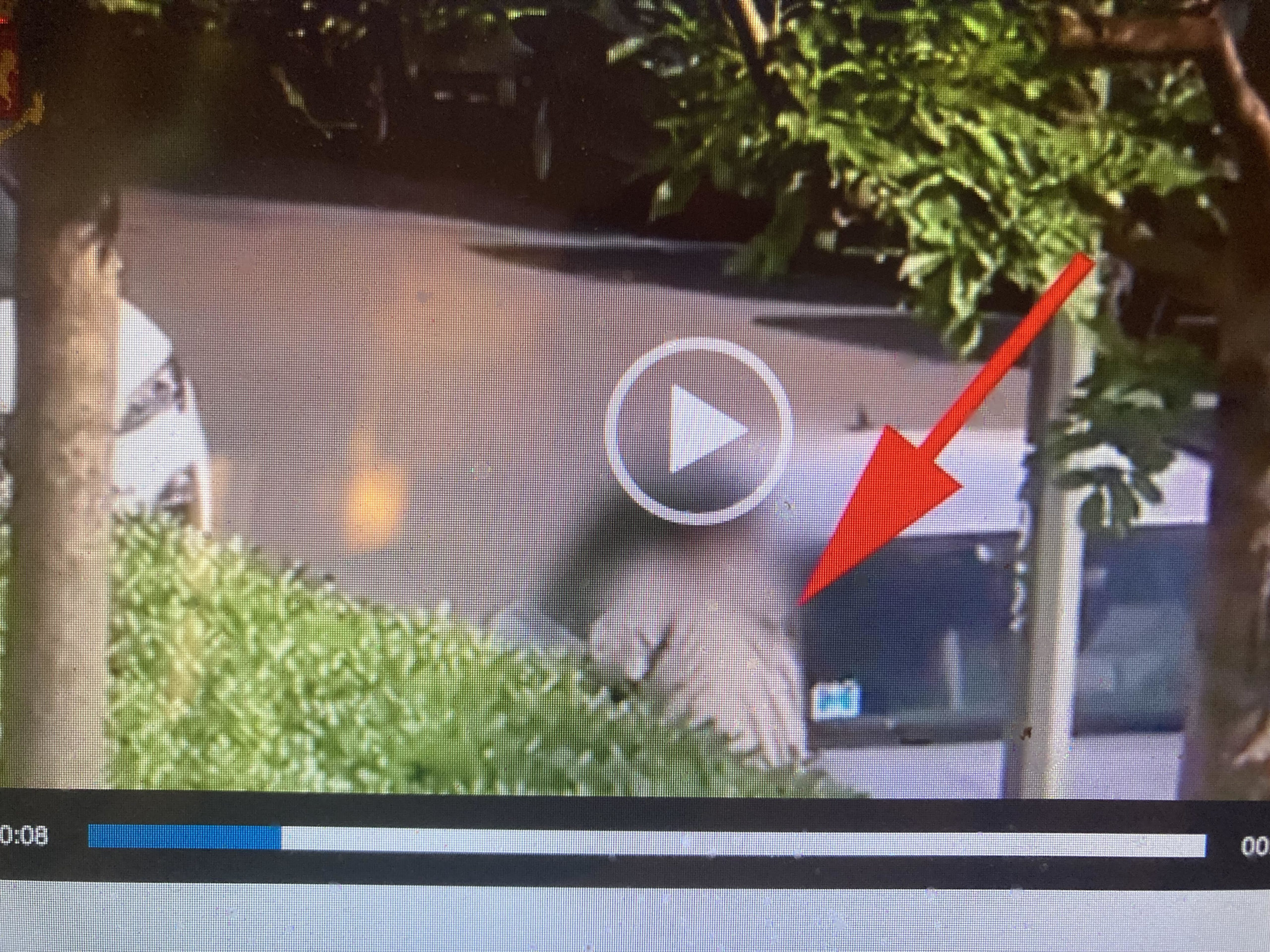 Frame del video della Polizia dei ladri di auto 25 maggio 2022