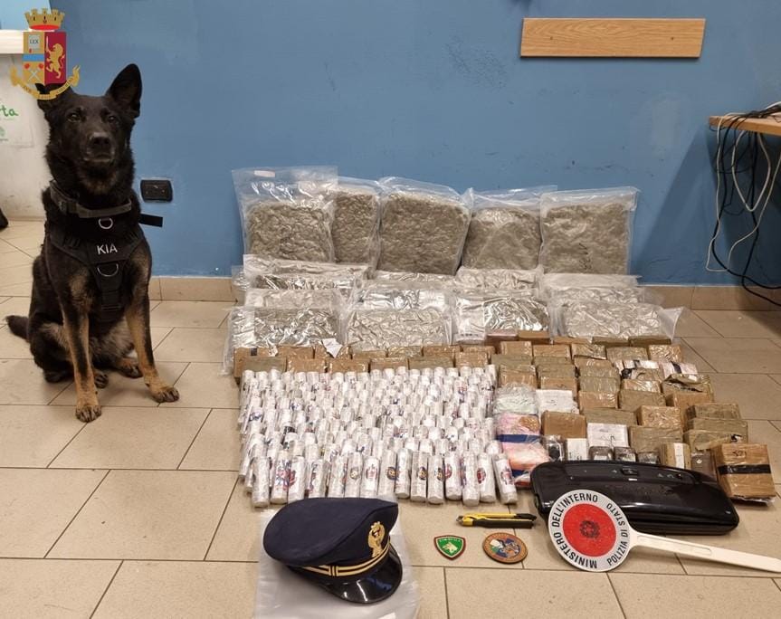 Il cane poliziotto Kia e la droga sequestrata 11 06 2022